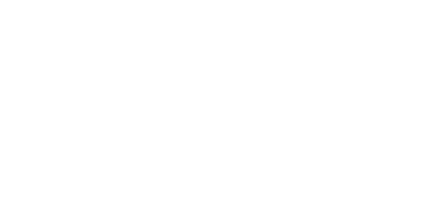 Bollo logo